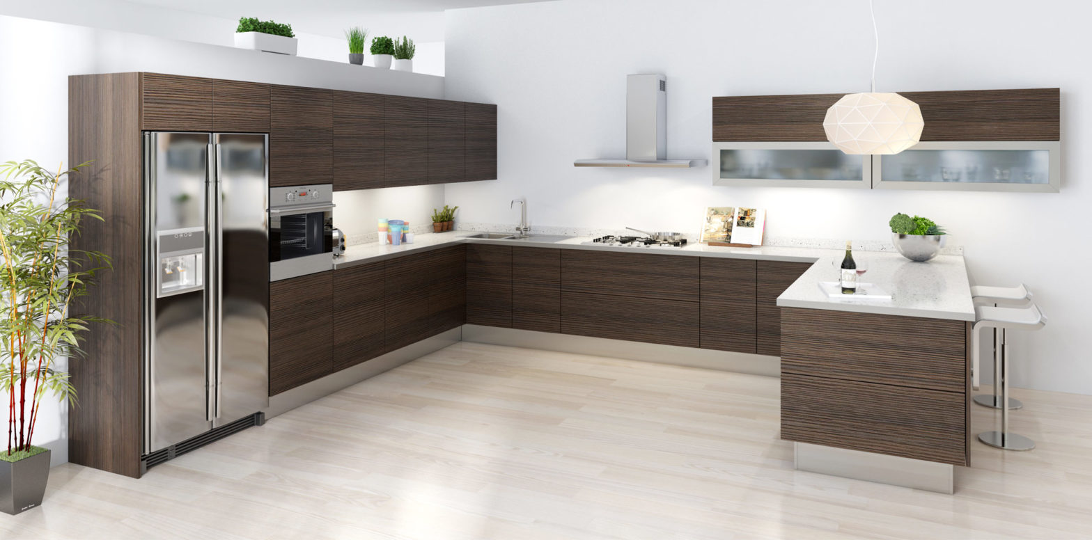 Modern kitchen cabinets